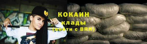 молекула духа Грязовец