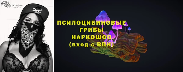 PSILOCYBIN Алзамай