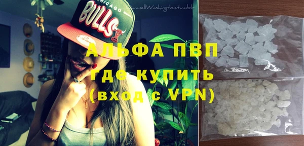 PSILOCYBIN Алзамай