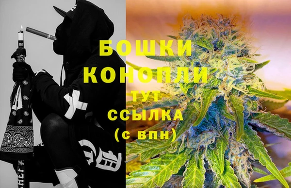 PSILOCYBIN Алзамай