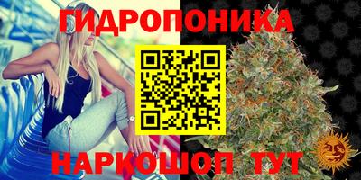 мескалин Гатчина