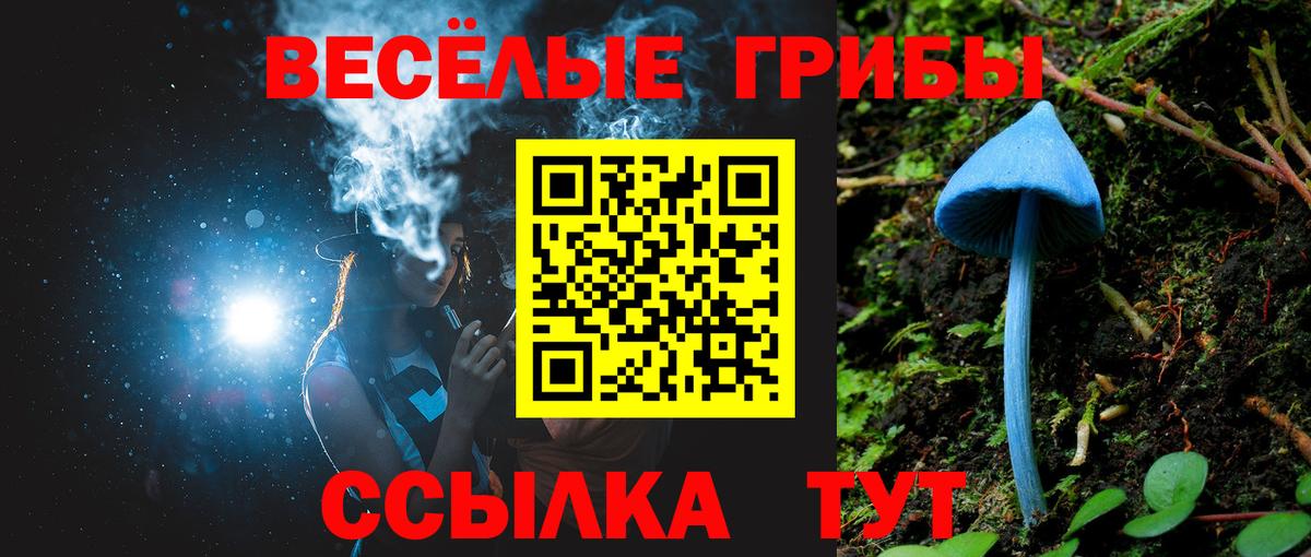 Галлюциногенные грибы мухоморы Нефтекумск