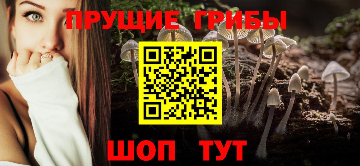 ТГК Нефтекумск