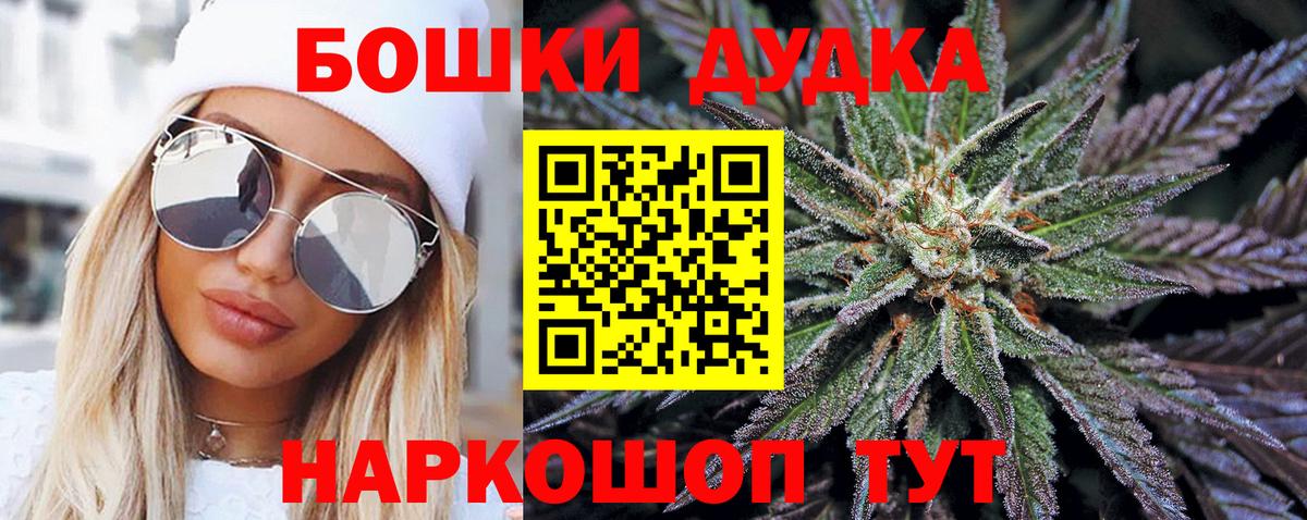 Конопля сатива Нефтекумск